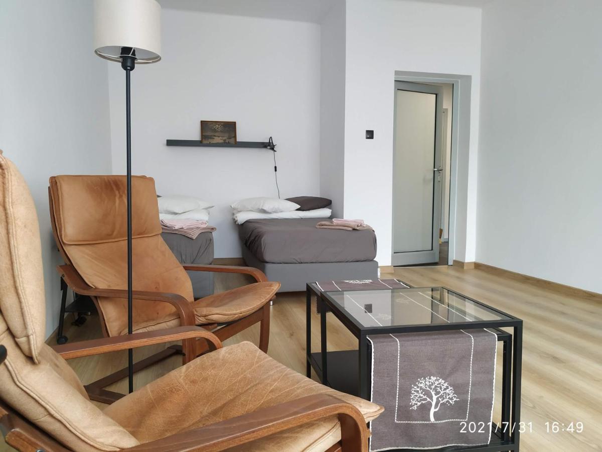 Apartament Przy Parku Srodmiescie Гданск Екстериор снимка